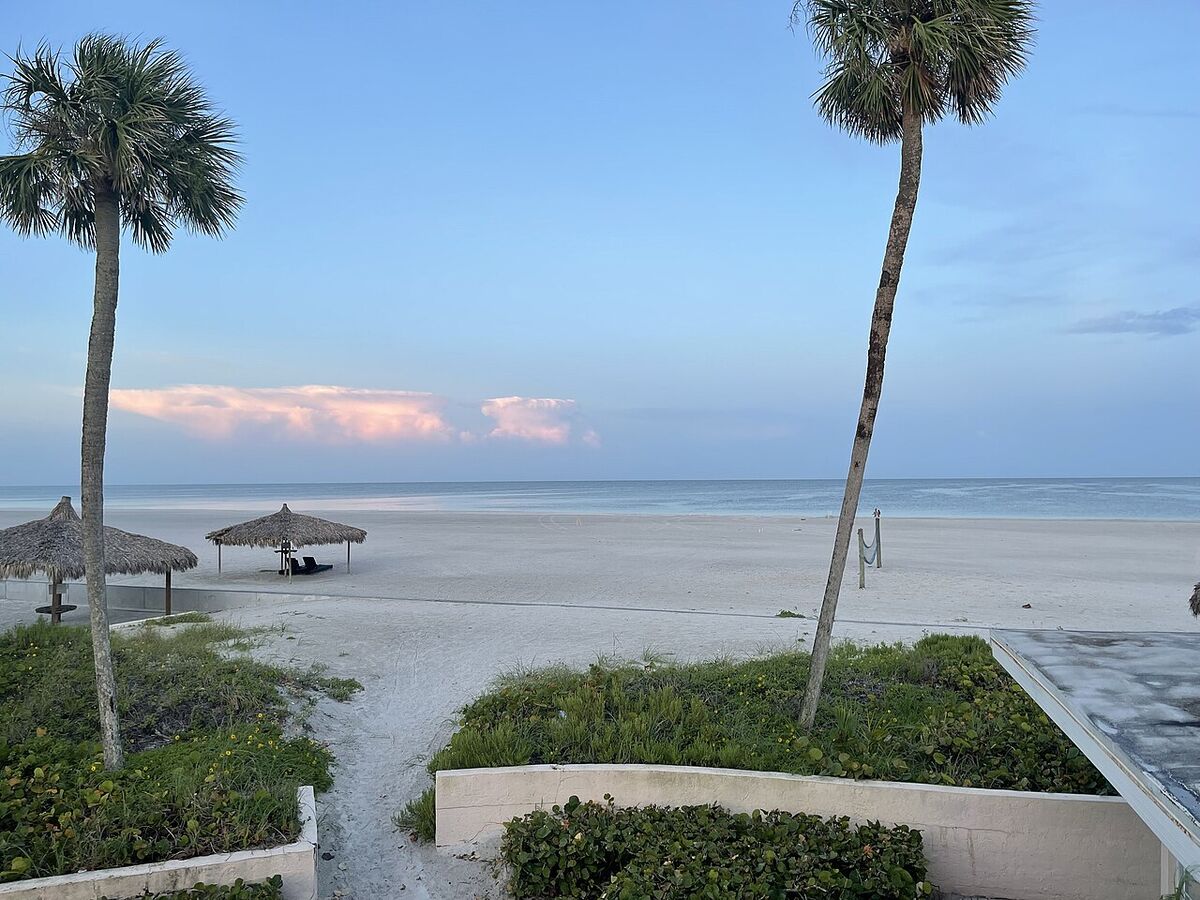 Public Siesta Beach in the morning with palm trees, white sand and thatched shade umbrellas